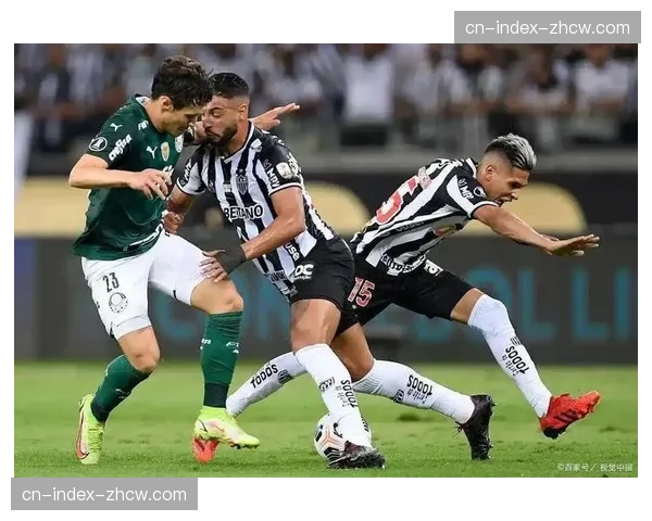 桑托斯2-3弗鲁米嫩塞后防问题 第五轮前的战术调整评估